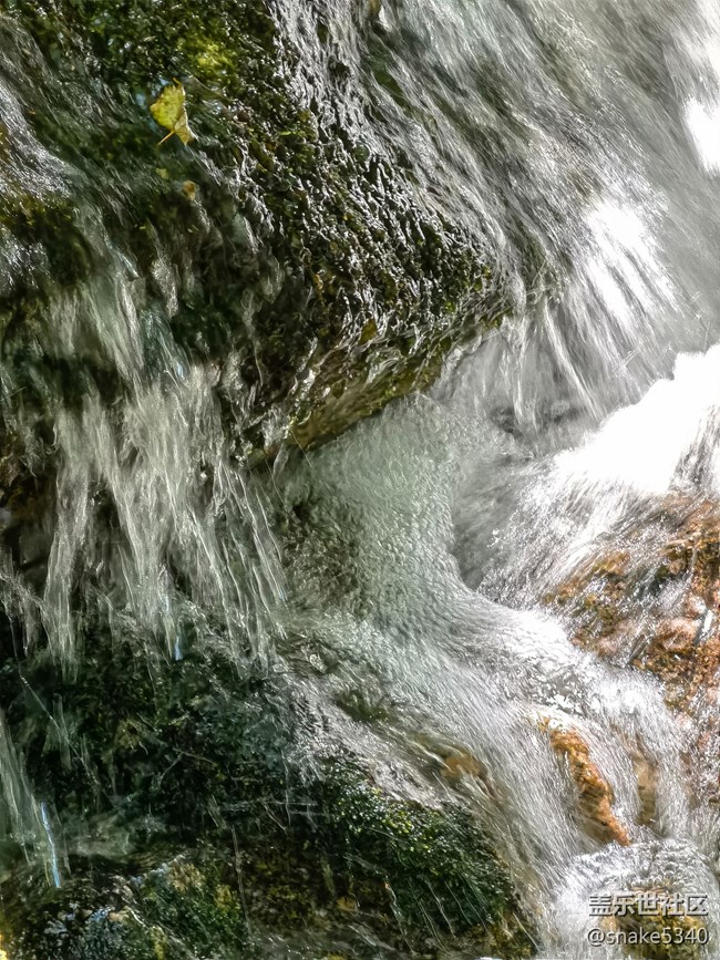 【生命之水】+ 水中藏寶