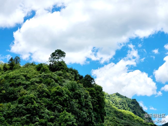 【生活需要色彩！】+夏天的色彩