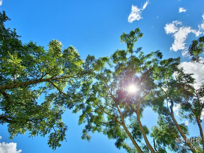 【生活需要色彩！】+夏天的色彩