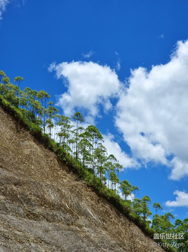 【生活需要色彩！】+夏天的色彩