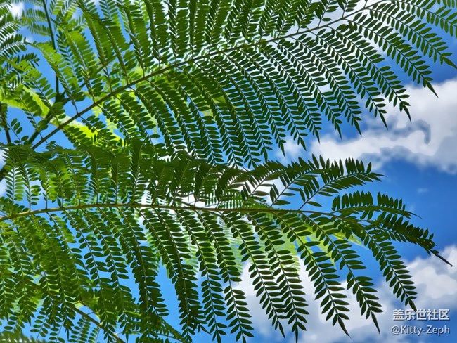 【生活需要色彩！】+夏天的色彩