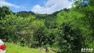一個(gè)很美的地方