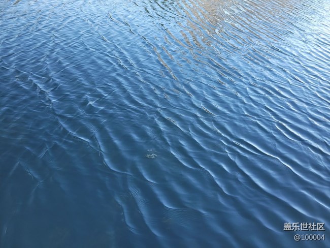 【靈動(dòng)一夏】生命之水