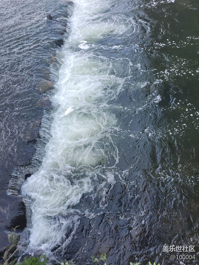 【靈動(dòng)一夏】生命之水