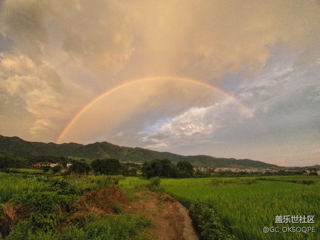 有S10+完美版Google相機(jī)嗎？