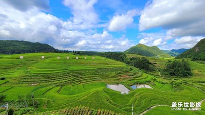 【帶著手機(jī)去旅行】+路過龍里
