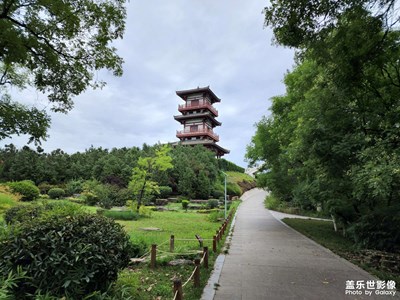 【帶著手機去旅行】+溜達