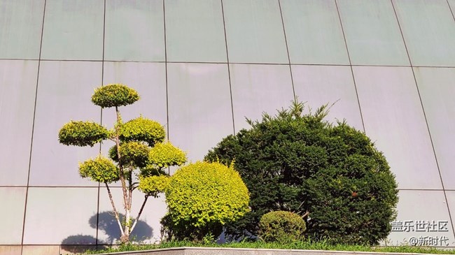 空間藝術(shù)+沈陽科學(xué)宮