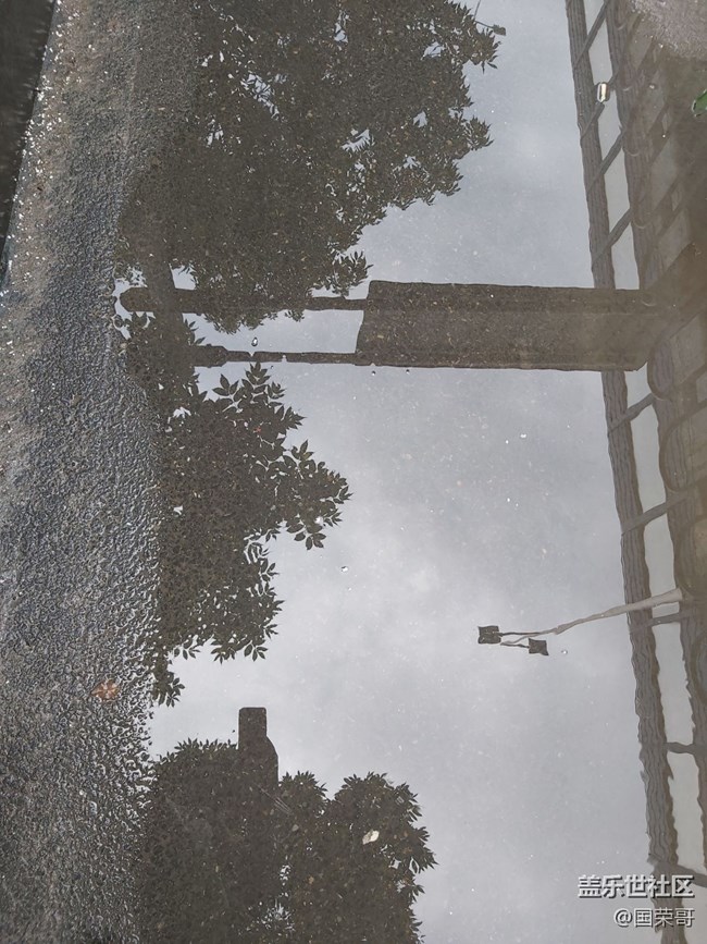 【生命之水】無根之水