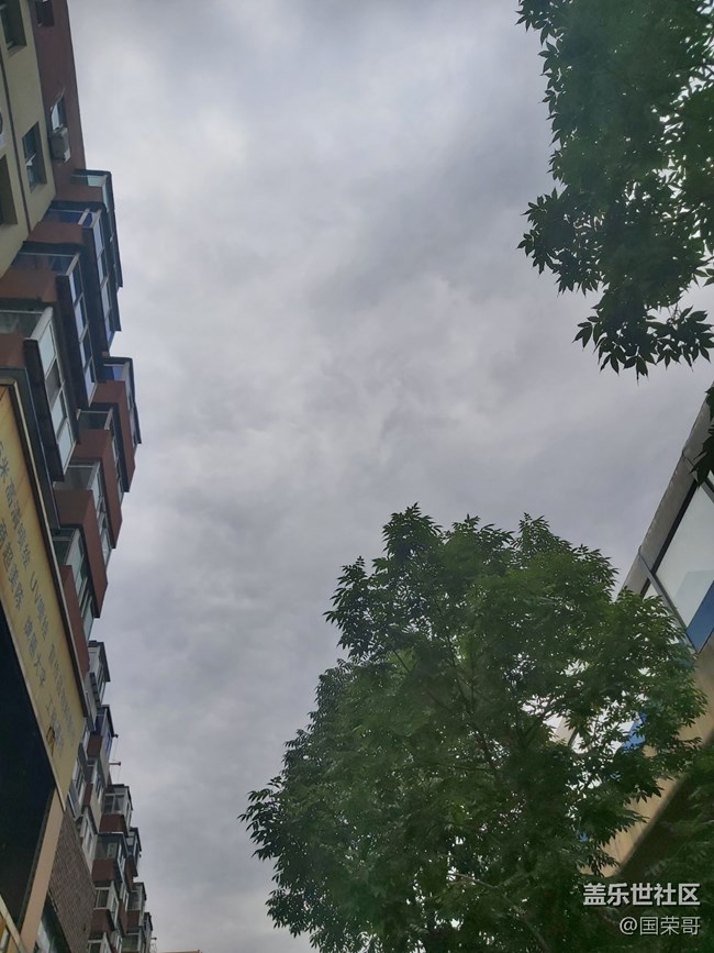 【生命之水】無根之水