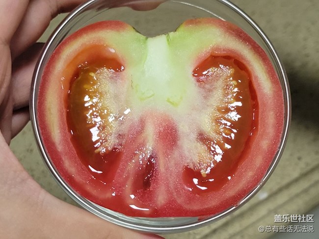 【空間藝術(shù)】西紅柿的橫截面