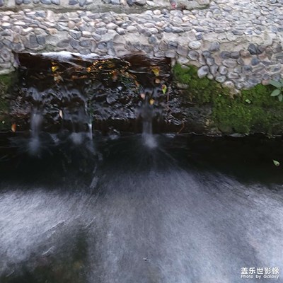 【帶著手機去旅行】+活水公園