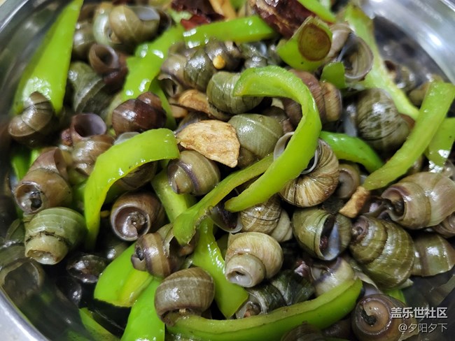 【空間藝術(shù)】屁屁螺