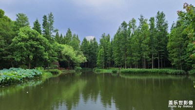 【帶著手機去旅行】濱江森林公園