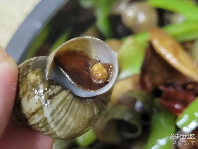 【空間藝術(shù)】屁屁螺