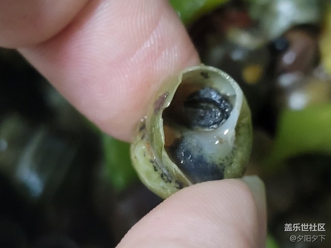 【空間藝術(shù)】屁屁螺