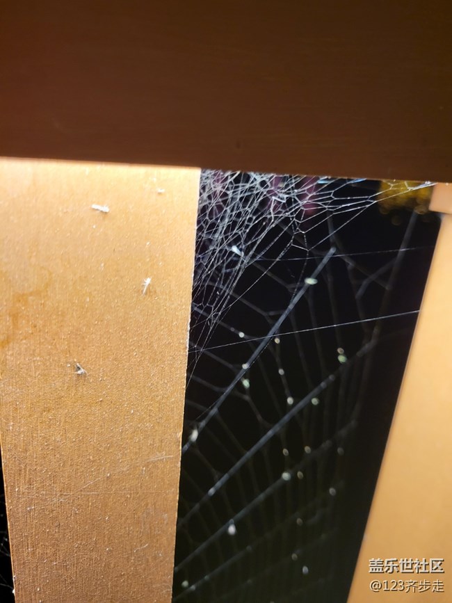 【空間藝術(shù)】蜘蛛網(wǎng)