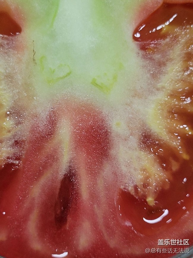 【空間藝術(shù)】西紅柿的橫截面