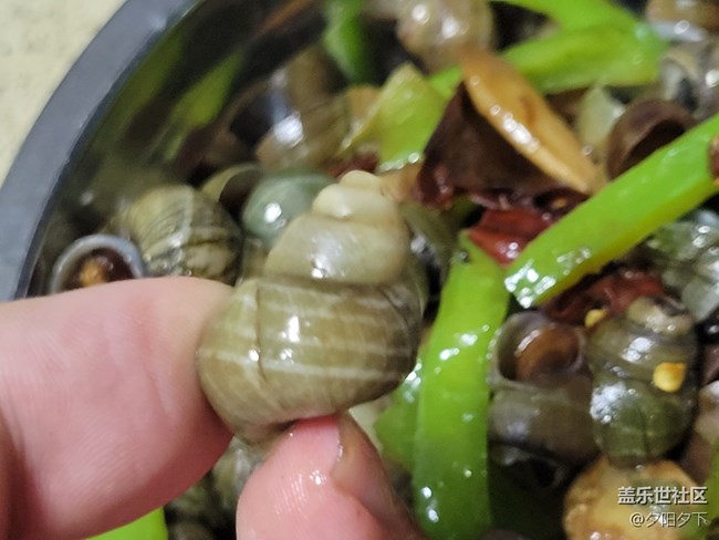 【空間藝術(shù)】屁屁螺