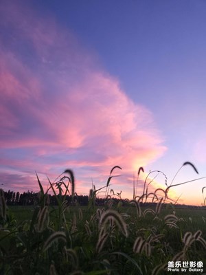 醉美夕陽