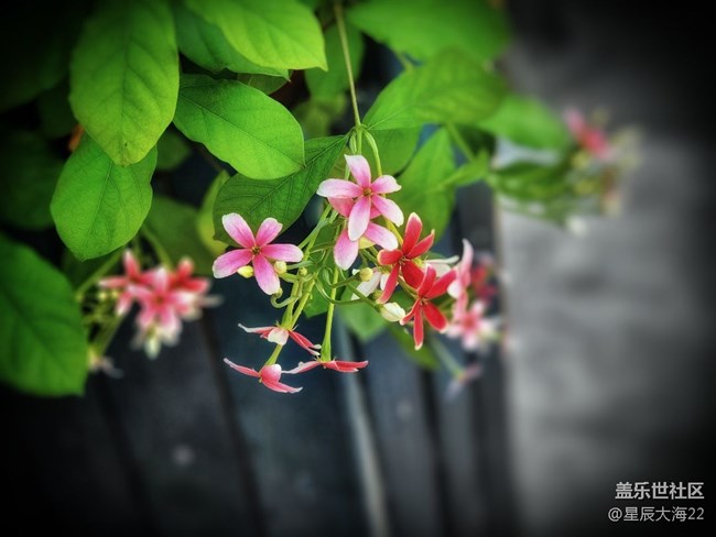 【秋高氣爽】+初秋