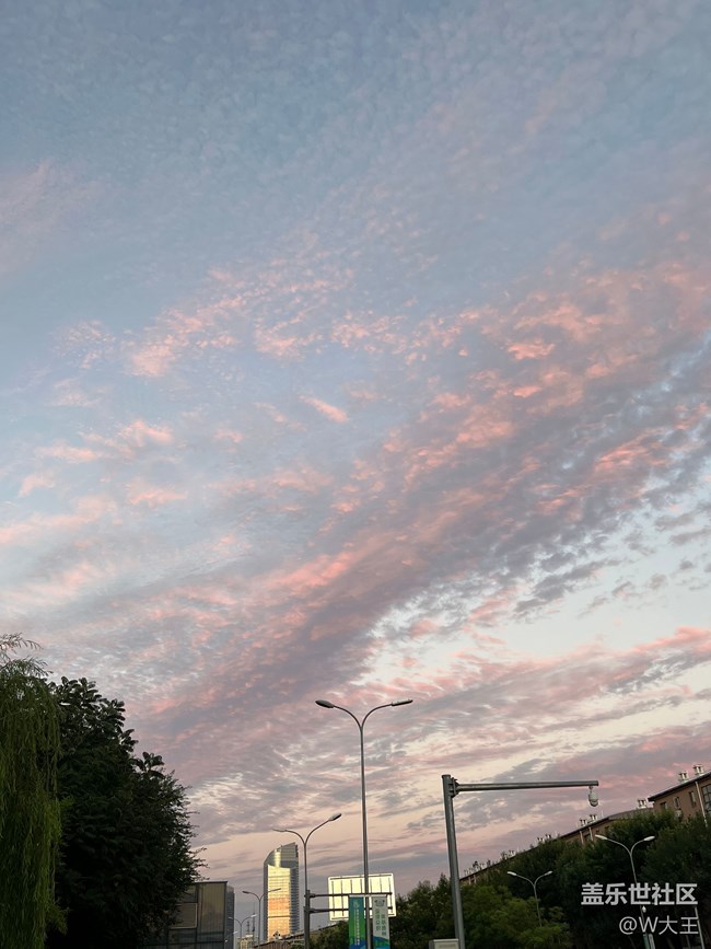 【秋高氣爽】天空