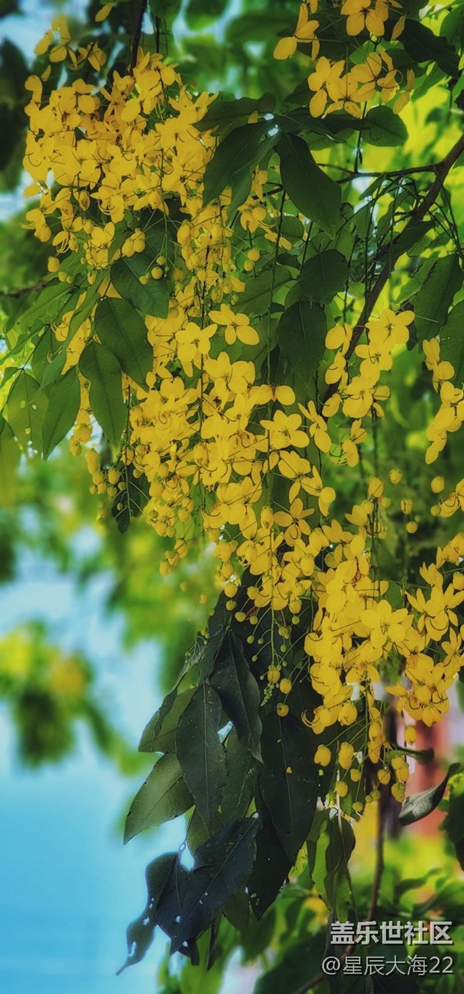 【秋高氣爽】+初秋