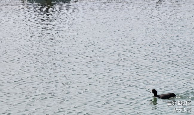 繼續(xù)曬幾張自己拍的照片