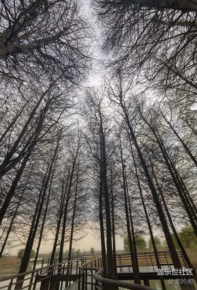 繼續(xù)曬幾張自己拍的照片