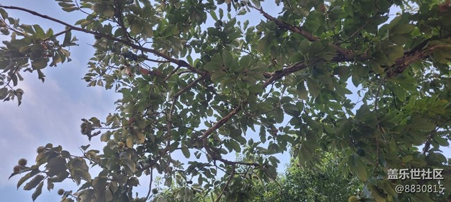 【秋高氣爽】秋天了