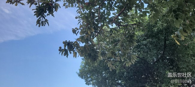 【秋高氣爽】秋天了