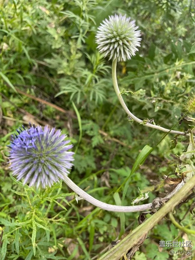 【秋高氣爽】+秋風(fēng)