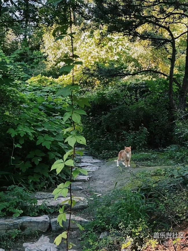 【秋高氣爽】+秋風(fēng)