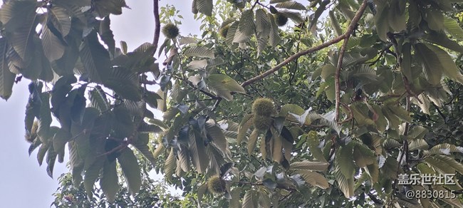 【秋高氣爽】秋天了