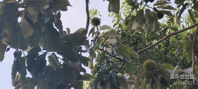 【秋高氣爽】秋天了