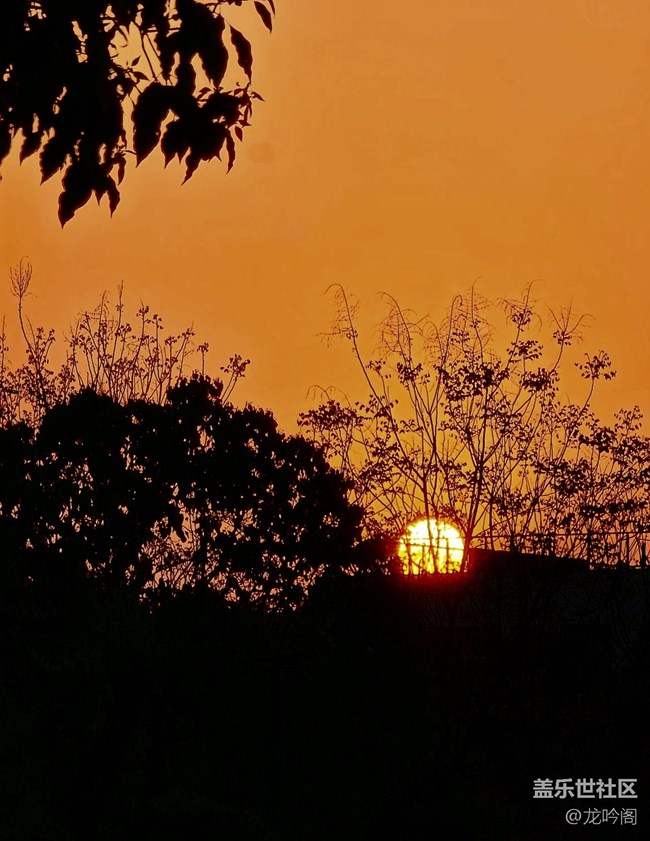 繼續(xù)曬幾張自己拍的照片