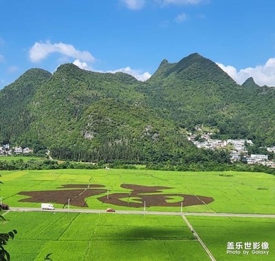美好風(fēng)景！