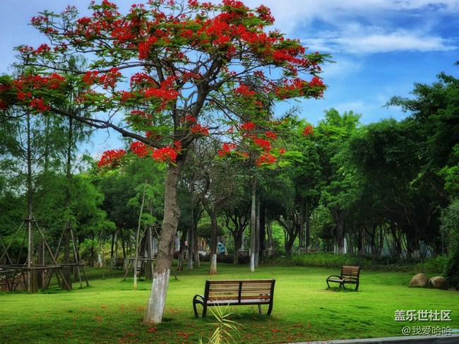 【追風(fēng)的人】+在路上