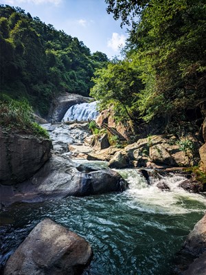 【與美好相逢】＋山中涼意