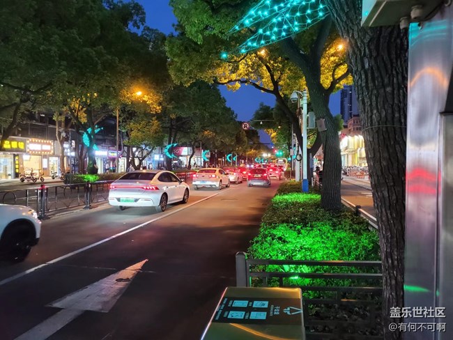 #燈——樹上的景觀燈