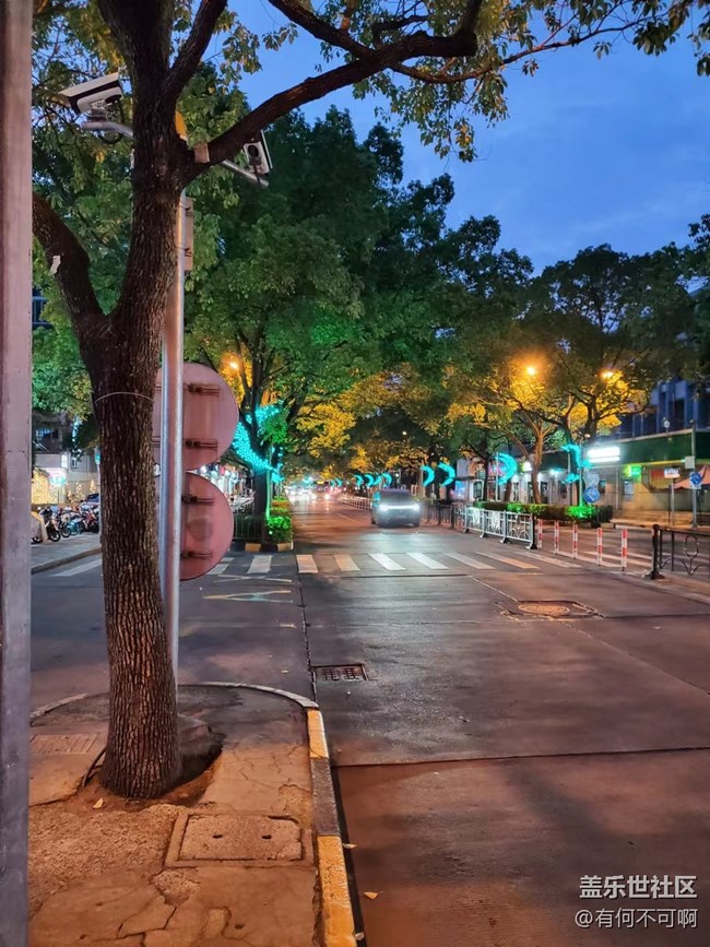 #燈——樹上的景觀燈