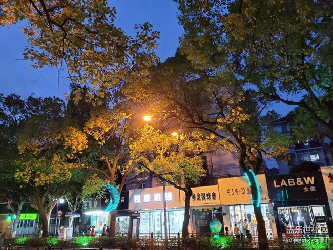 #燈——樹上的景觀燈