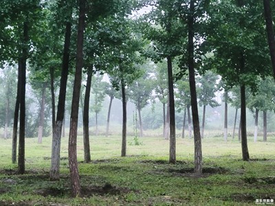 已開獎【蓋樂世影像周賽第255期】—— 早秋