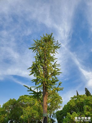 【與美好相逢】＋下班好心情