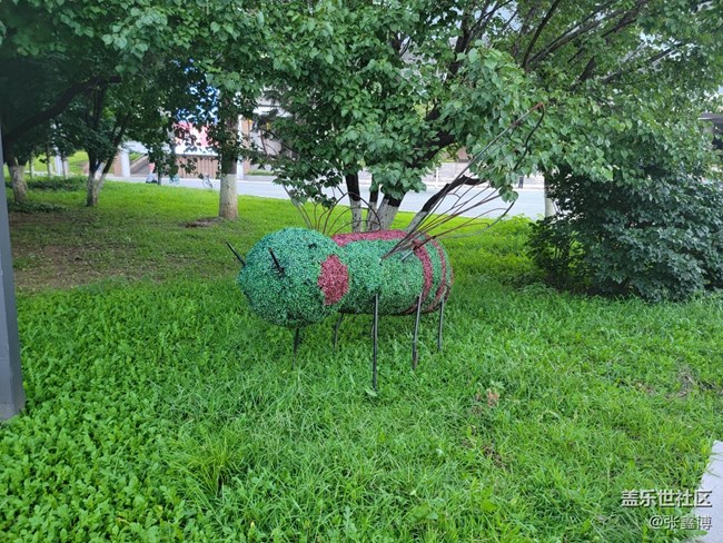 【渾河畔的風光】河畔美景