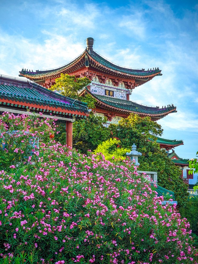 《每周星鮮事》 第115期:三星Galaxy折疊屏系列 新品發(fā)布會