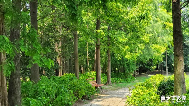 《每周星鮮事》 第115期:三星Galaxy折疊屏系列 新品發(fā)布會