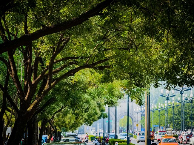 《每周星鮮事》 第115期:三星Galaxy折疊屏系列 新品發(fā)布會