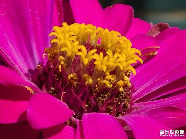 《每周星鮮事》 第115期:三星Galaxy折疊屏系列 新品發(fā)布會