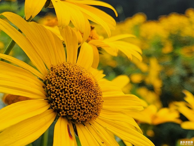 《每周星鮮事》 第115期:三星Galaxy折疊屏系列 新品發(fā)布會